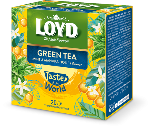 Zielona Herbata z Miętą LOYD