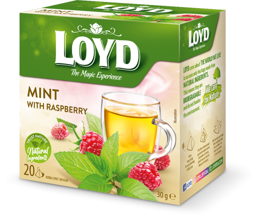 vis-20PIR-LOYD-ziolowe-EXP-mintraspberry